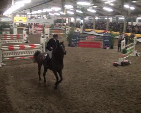 Reitturnier Vreden 2013