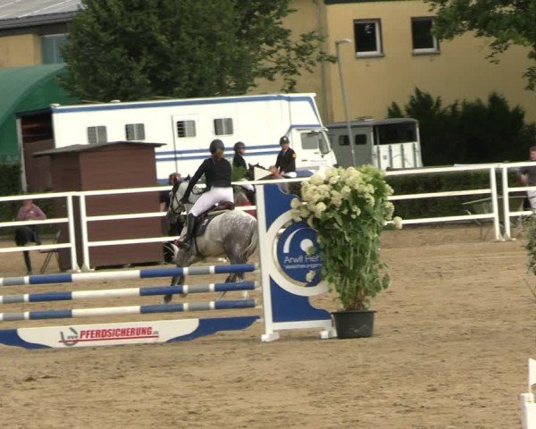 Reitturnier Neustadt/Dosse 2024