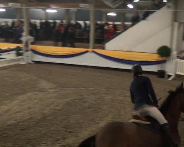 Reitturnier Vreden 2013
