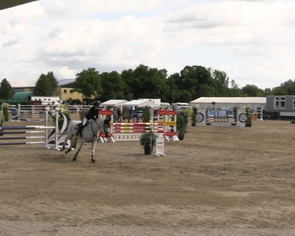 Reitturnier Neustadt/Dosse 2024
