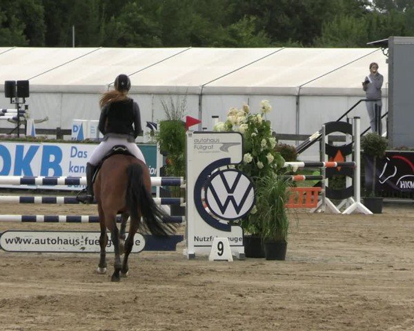 Reitturnier Neustadt/Dosse 2024