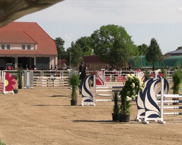 Reitturnier Neustadt/Dosse 2024