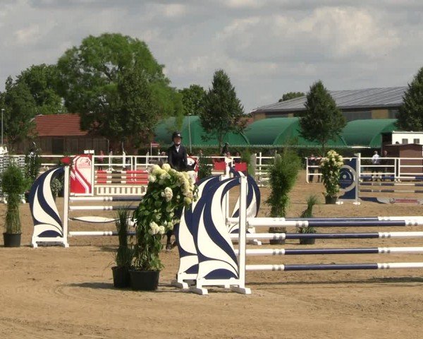 Reitturnier Neustadt/Dosse 2024