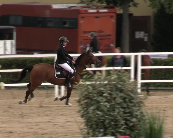 Reitturnier Neustadt/Dosse 2024