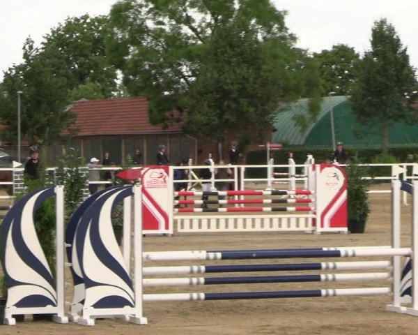 Reitturnier Neustadt/Dosse 2024