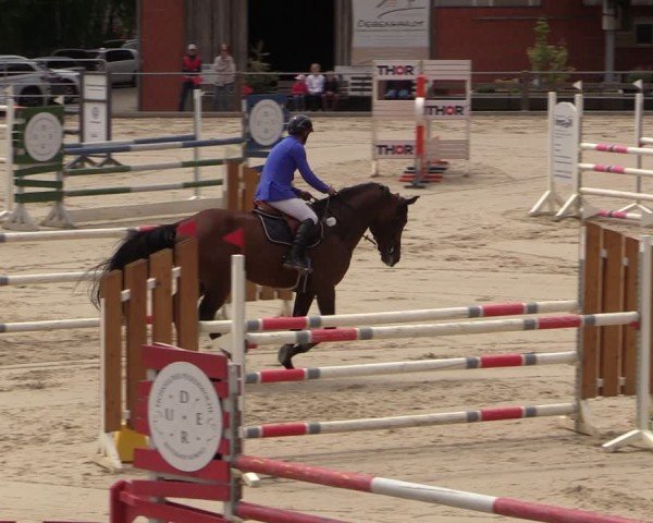 Reitturnier Uder, Reitanlage Kobold 2024