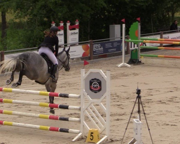 Reitturnier Uder, Reitanlage Kobold 2024
