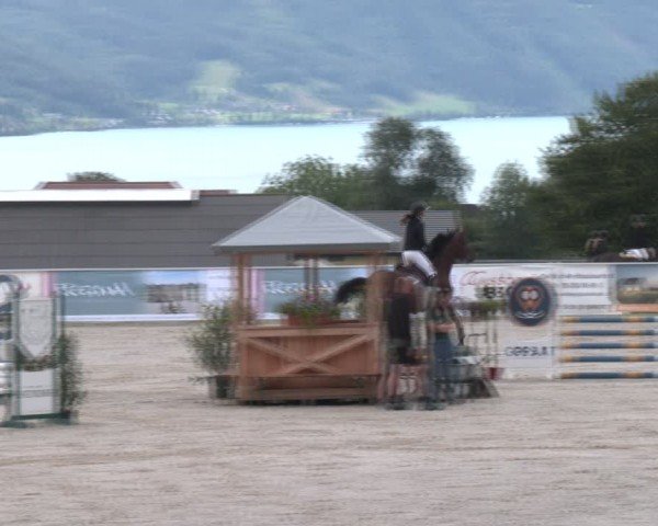 Springturnier Seewalchen 2024