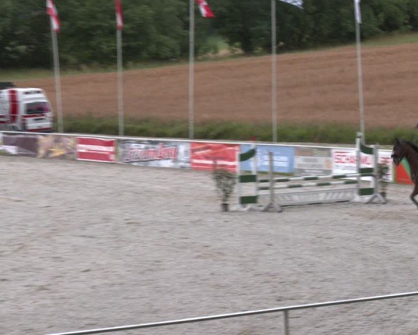 Springturnier Seewalchen 2024