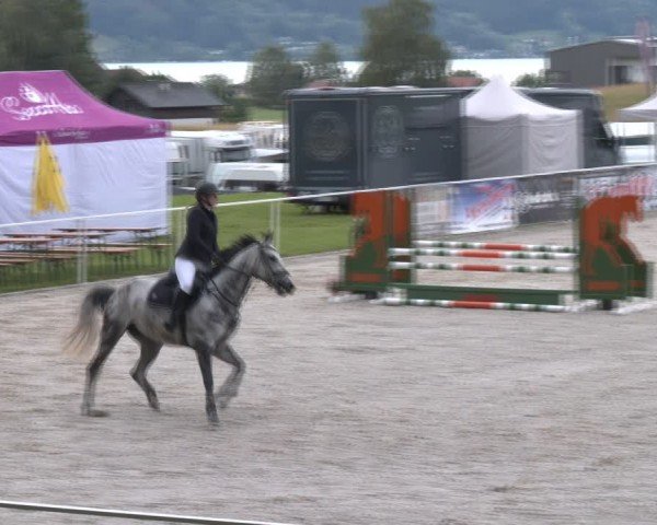 Springturnier Seewalchen 2024