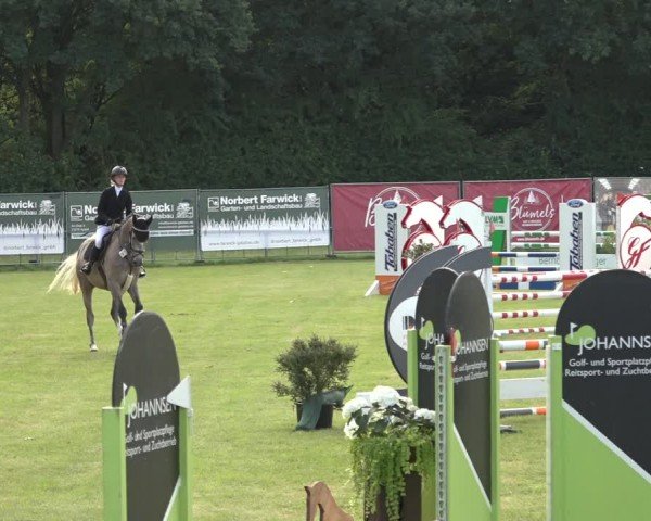 Reitturnier Wohlesbostel 2024