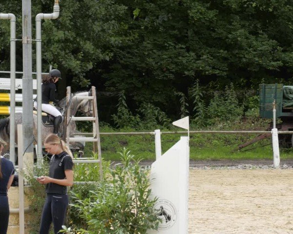 Reitturnier Heddesheim 2024