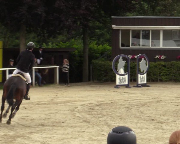 Reitturnier Fröndenberg 2024