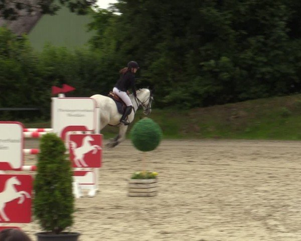 Reitturnier Fröndenberg 2024