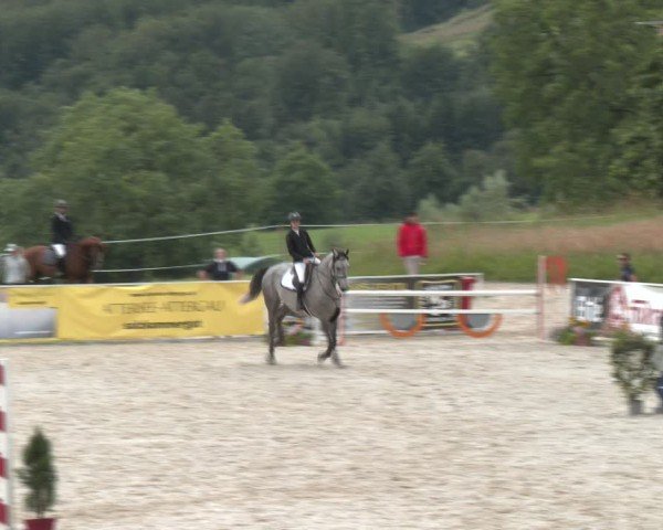 Springturnier Seewalchen 2024