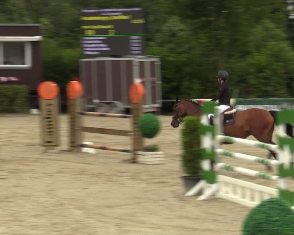 Reitturnier Fröndenberg 2024