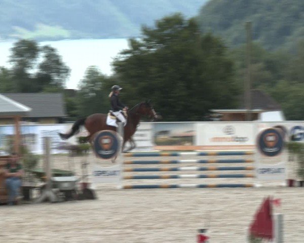 Springturnier Seewalchen 2024