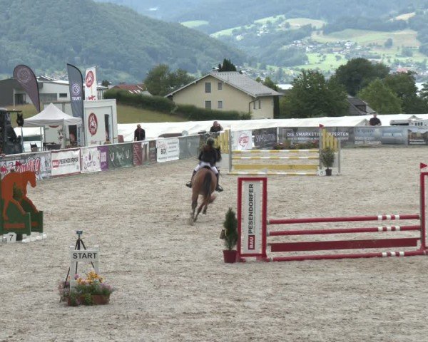 Springturnier Seewalchen 2024