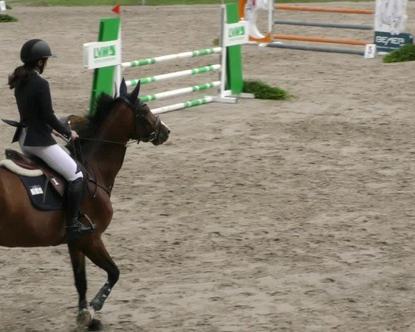 Reitturnier Adelebsen 2024