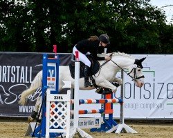 dressage horse Shadow 768 (Camargue horse, 2009)