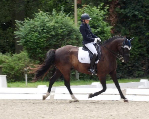 Reitturnier Heddesheim 2024