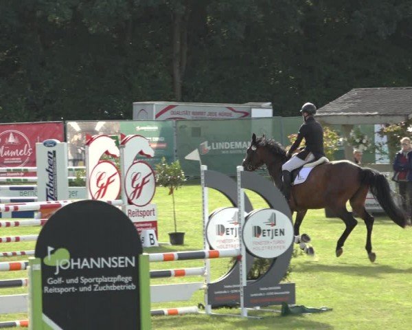 Reitturnier Wohlesbostel 2024
