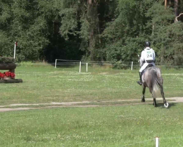 Reitturnier Luhmühlen 2024