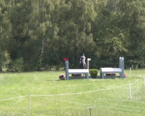 Reitturnier Luhmühlen 2024