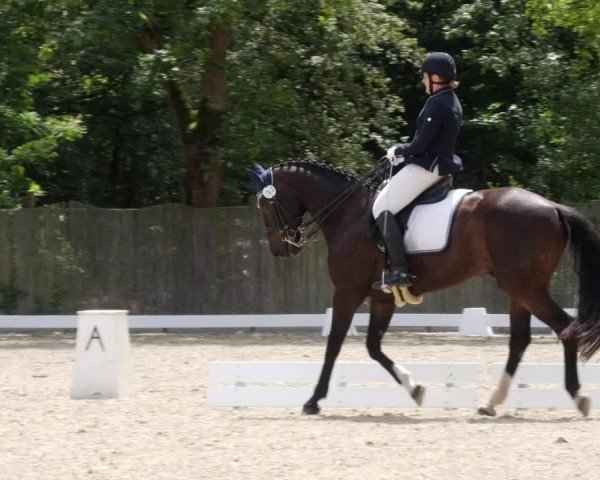 Reitturnier Heddesheim 2024