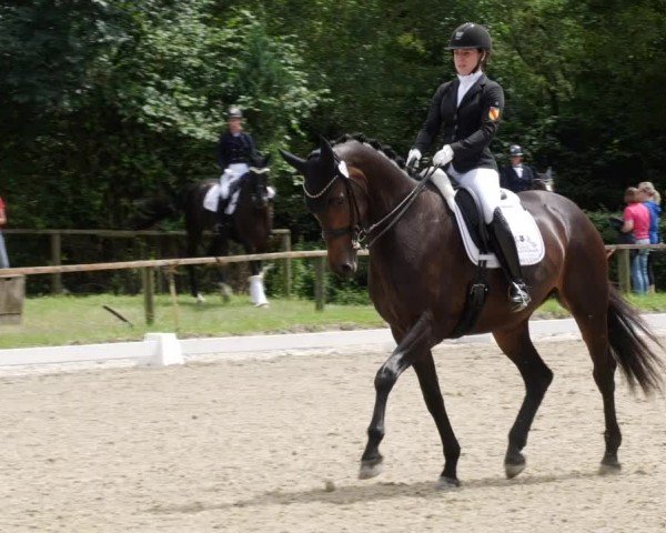 Reitturnier Heddesheim 2024