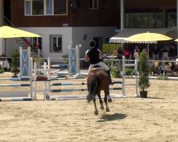 Reitturnier Rankweil 2024