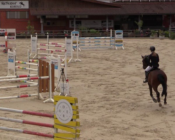 Reitturnier Uder, Reitanlage Kobold 2024