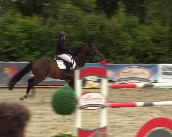 Reitturnier Fröndenberg 2024