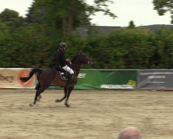 Reitturnier Fröndenberg 2024