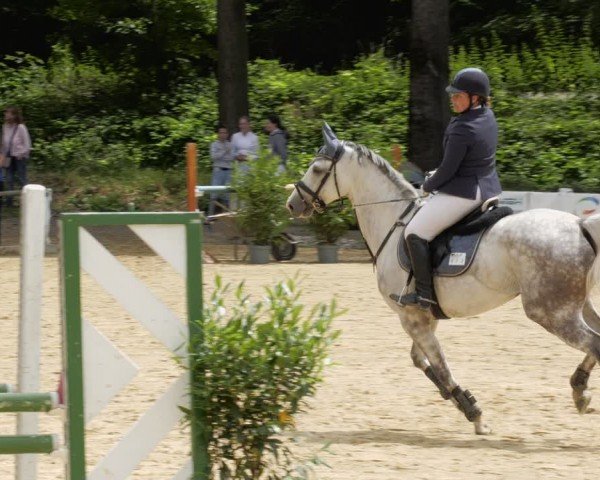 Reitturnier Heddesheim 2024