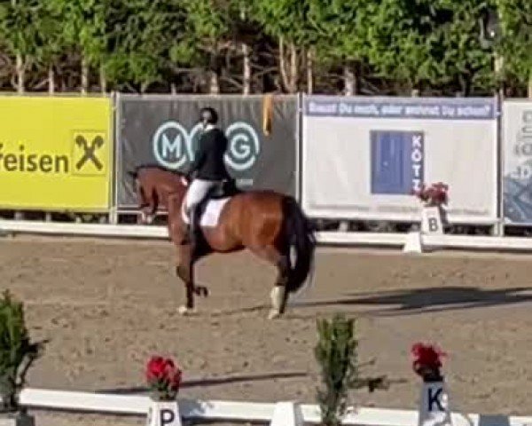 Video of Fleur