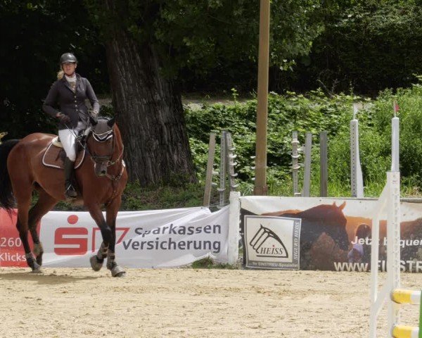 Reitturnier Heddesheim 2024
