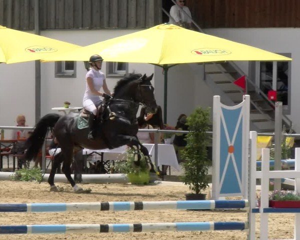 Reitturnier Rankweil 2024