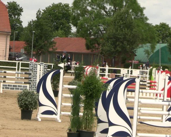 Reitturnier Neustadt/Dosse 2024