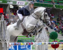 stallion Zilverstar VDL (KWPN (Royal Dutch Sporthorse), 2004, from VDL Cardento 933)