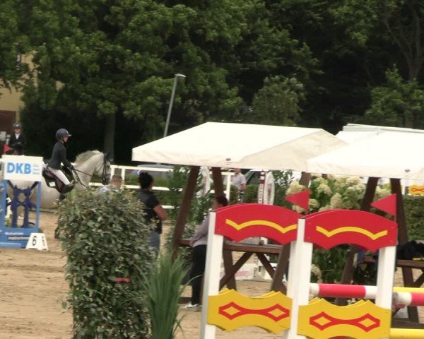 Reitturnier Neustadt/Dosse 2024