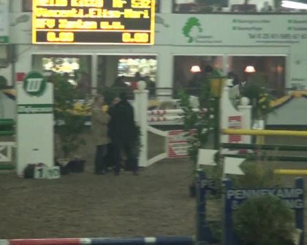 Reitturnier Vreden 2013