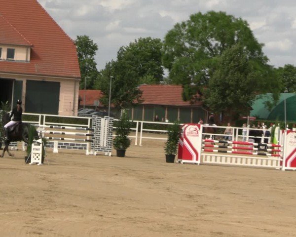 Reitturnier Neustadt/Dosse 2024