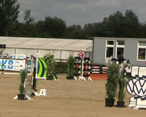 Reitturnier Neustadt/Dosse 2024