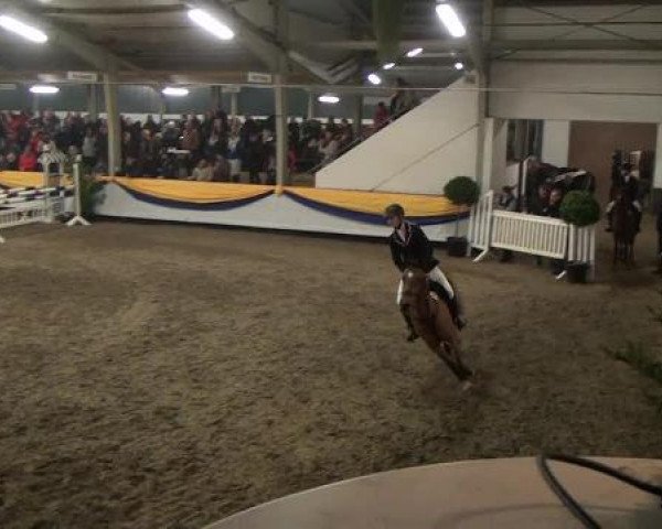 Reitturnier Vreden 2013