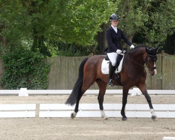 Reitturnier Heddesheim 2024