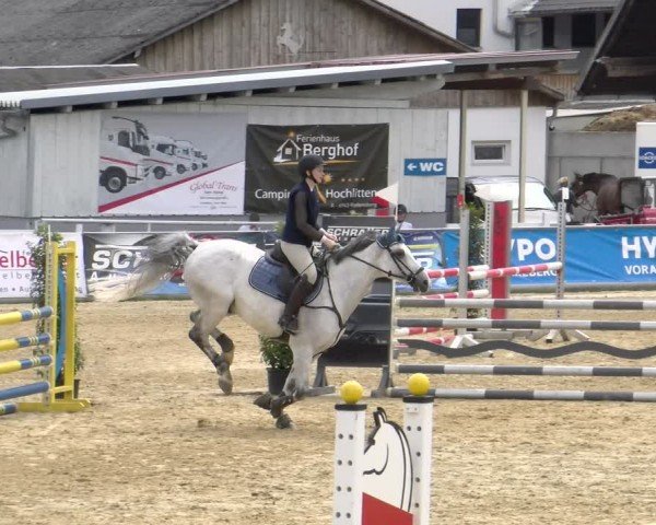 Reitturnier Rankweil 2024