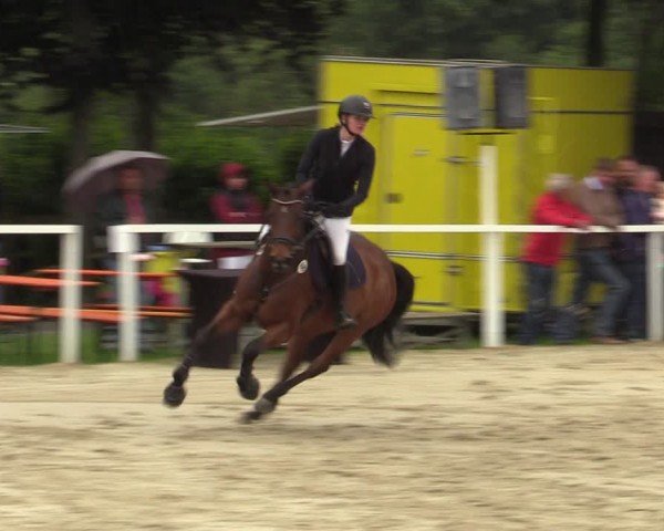 Reitturnier Fröndenberg 2024