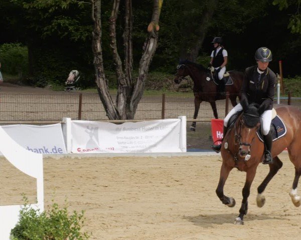 Reitturnier Heddesheim 2024