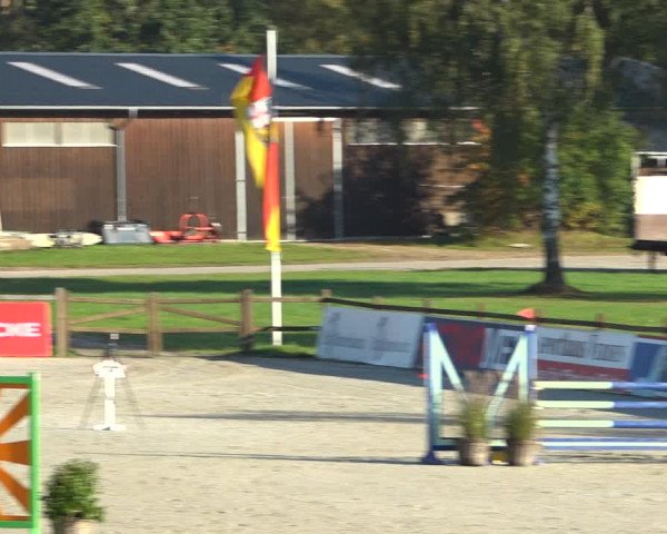 Reitturnier Westergellersen 2021